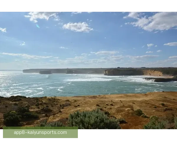 塔斯马尼亚大学3-5奥林匹亚勇士精彩征程与荣耀故事揭秘